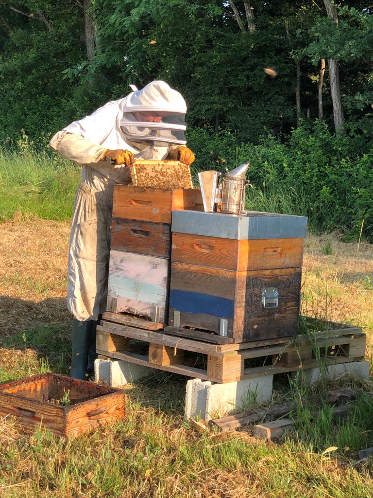 7- Tout va bien mesdemoiselles ! Vous êtes formidables !.JPG