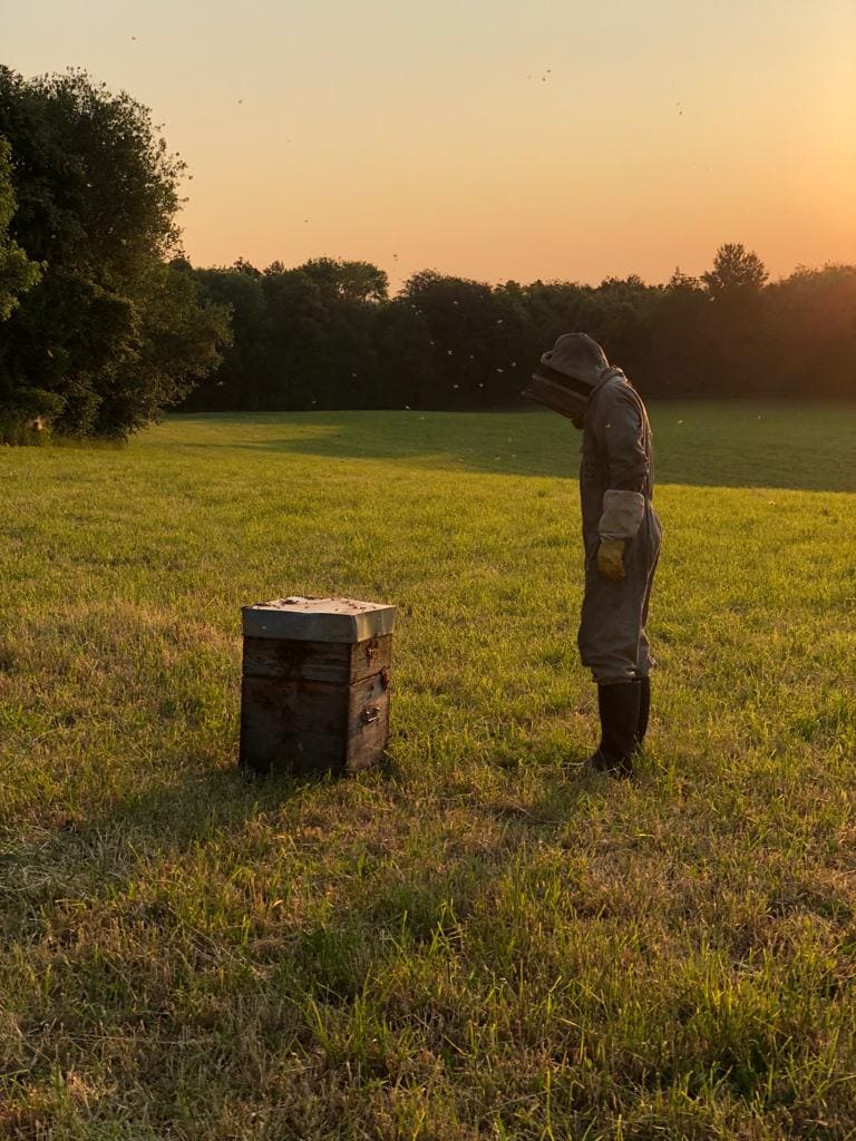 Tête à tête apiculteur ruche matin